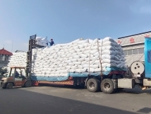 把握機遇、鉚足干勁、承勢而上