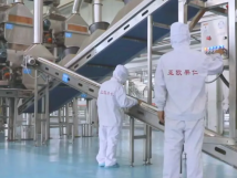 2025年的第一個月，承德亞歐果仁有限公司在山杏產(chǎn)業(yè)的道路上持續(xù)奮進(jìn)，展現(xiàn)出蓬勃的發(fā)展活力。